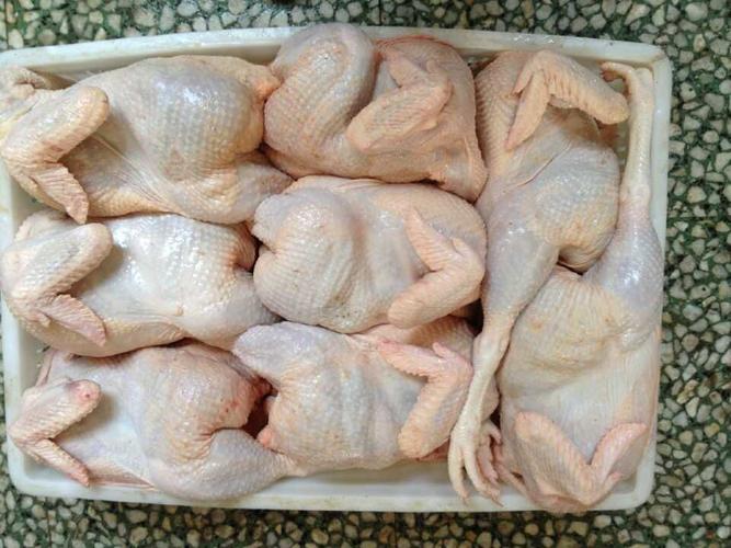 大种鸡白条冷冻鸡白条厂家直销冷冻大鸡白条肉禽批发鸡产品